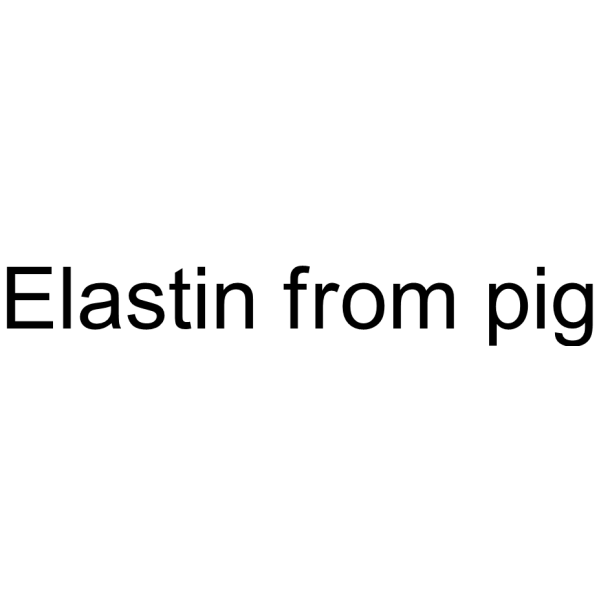 Elastin from pig 9007-58-3
